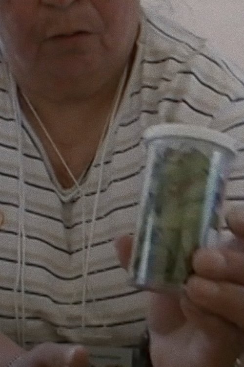 Médecine traditionnelle movie poster