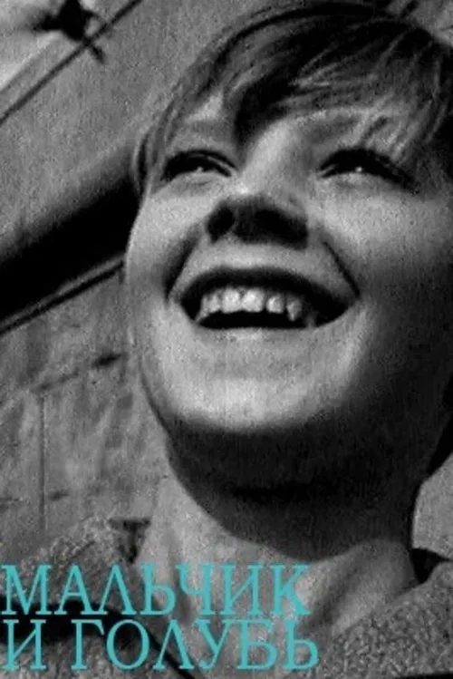 The Boy and the Pigeon movie poster