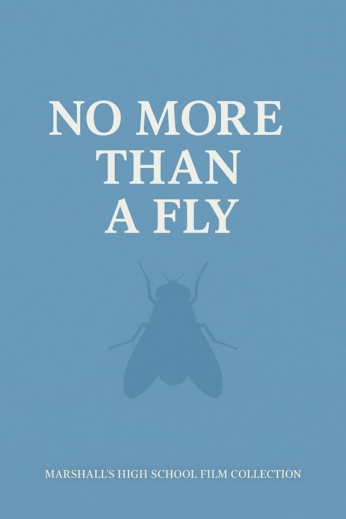 NO MORE THAN A FLY movie poster