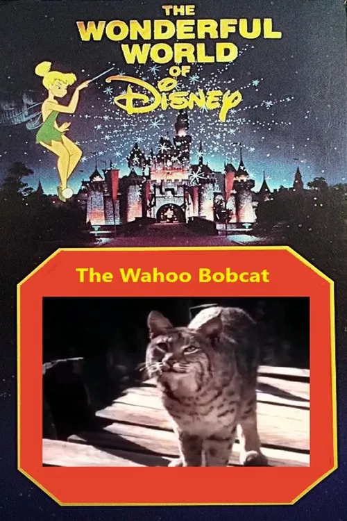 The Wahoo Bobcat movie poster