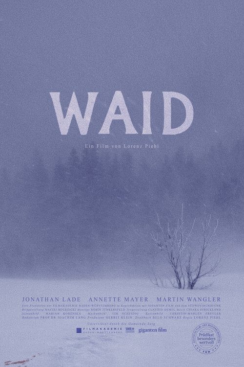 Waid movie poster