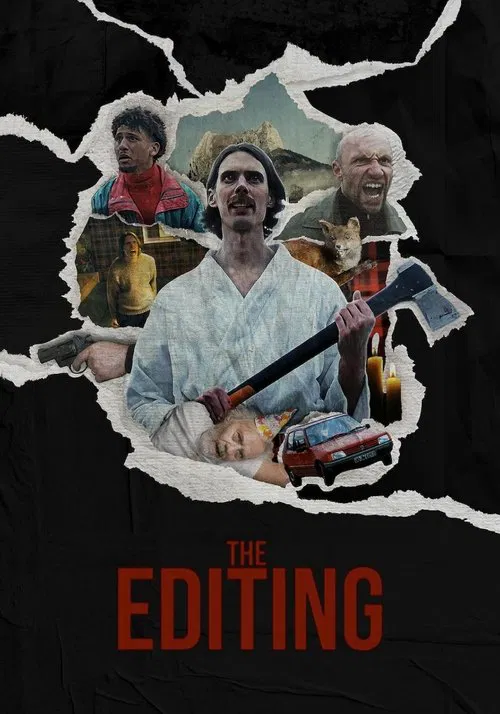 The Editing movie poster