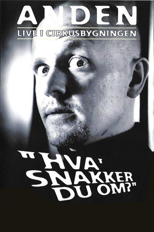 Anders Matthesen: Hva' snakker du om? movie poster