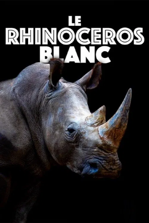 Poster do filme Le rhinocéros blanc