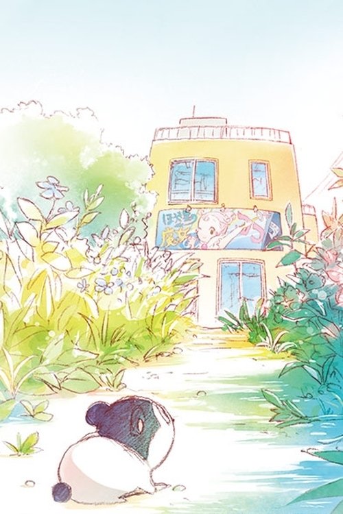 Baja's Studio movie poster