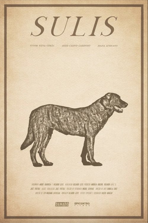 Sulis movie poster