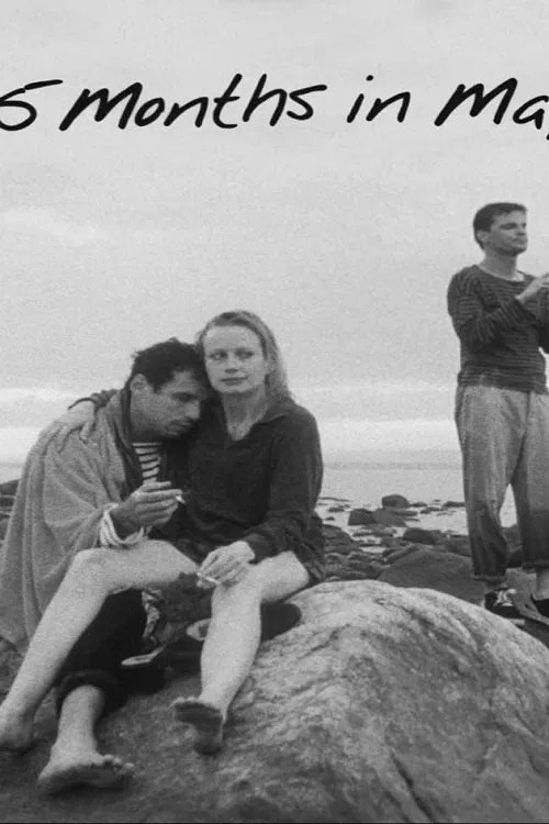 15 Months in May movie poster