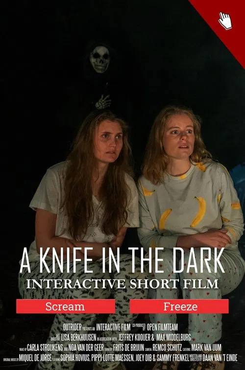 A Knife in the Dark movie poster
