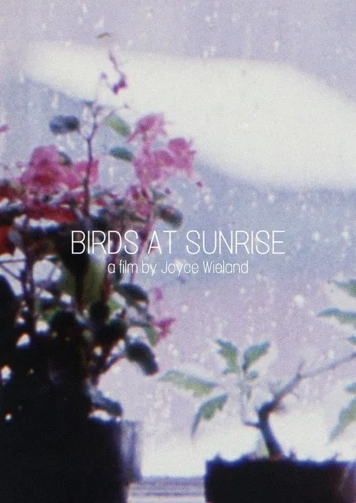 Birds at Sunrise movie poster