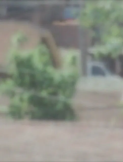 A / Spring / Today movie poster