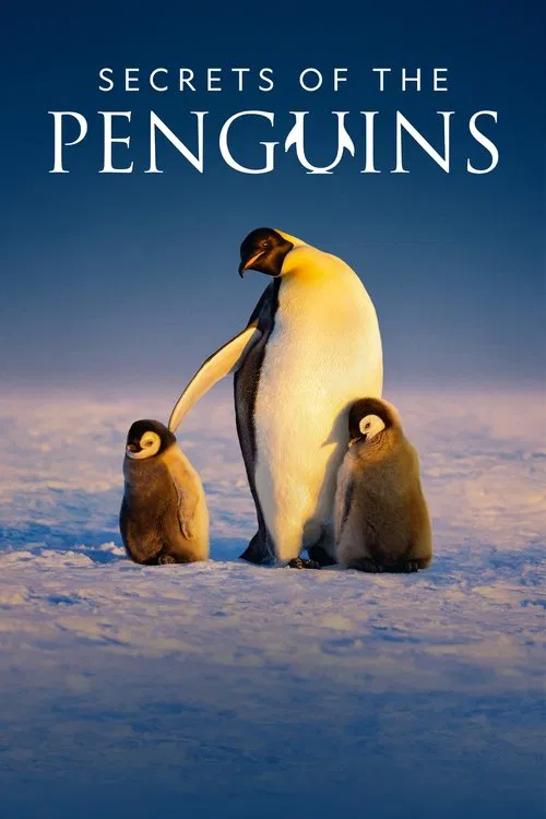 Secrets of the Penguins tv show poster