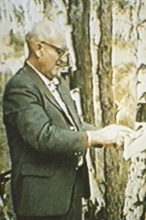 Black Box movie poster