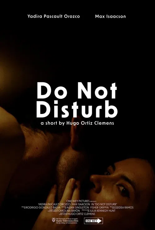 Do Not Disturb movie poster
