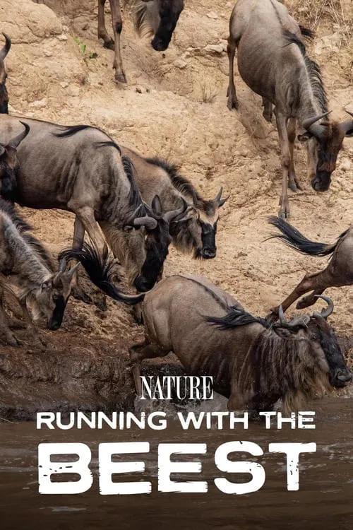 Running With The Beest movie poster