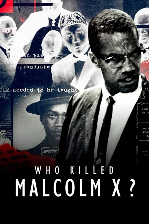 Who Killed Malcolm X? tv show poster