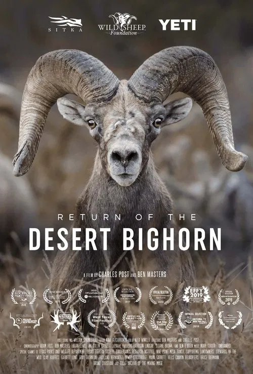 Return of the Desert Bighorn movie poster