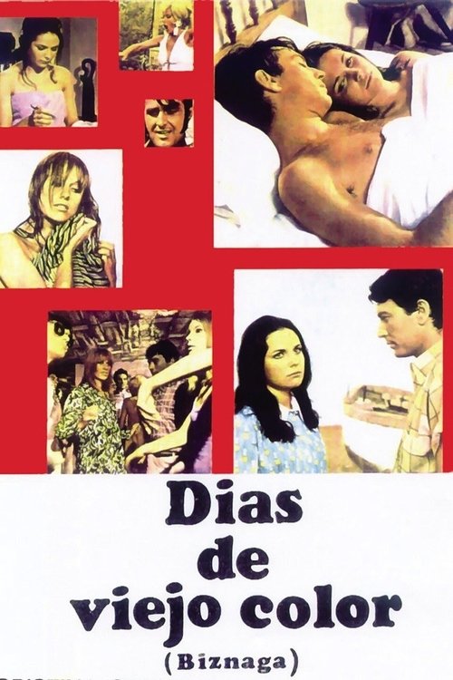 Poster do filme Días de viejo color