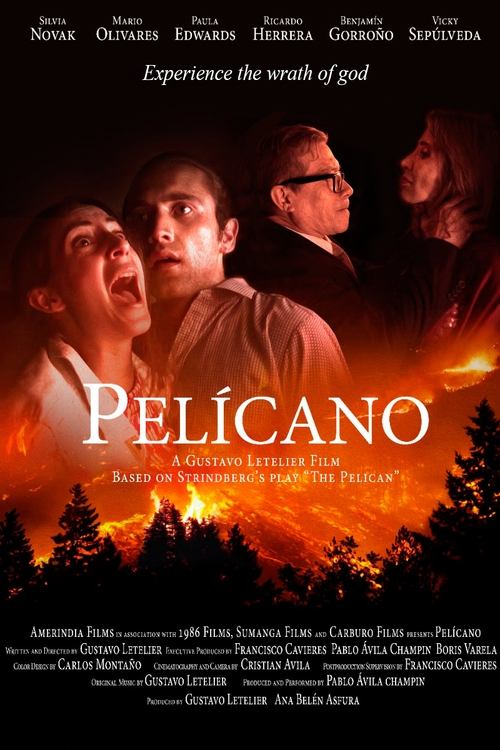 Poster do filme Pelícano