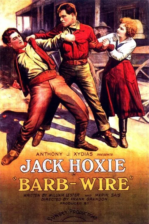 Barb Wire movie poster