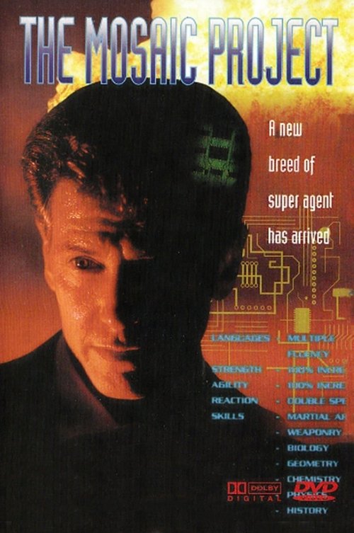 The Mosaic Project movie poster