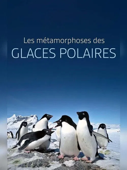 Les métamorphoses des glaces polaires : Un défi pour les écosystèmes movie poster
