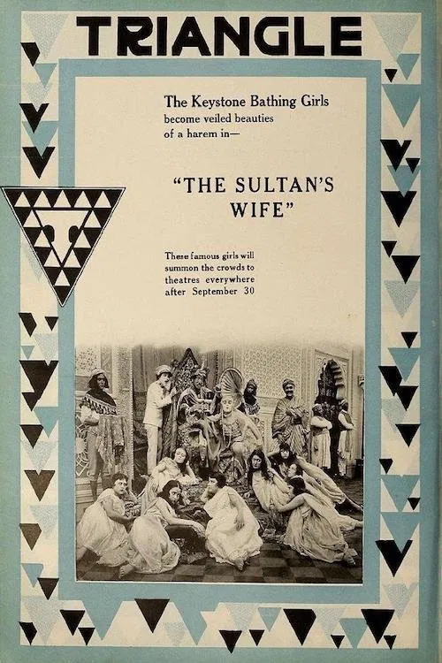 The Sultan's Wife movie poster