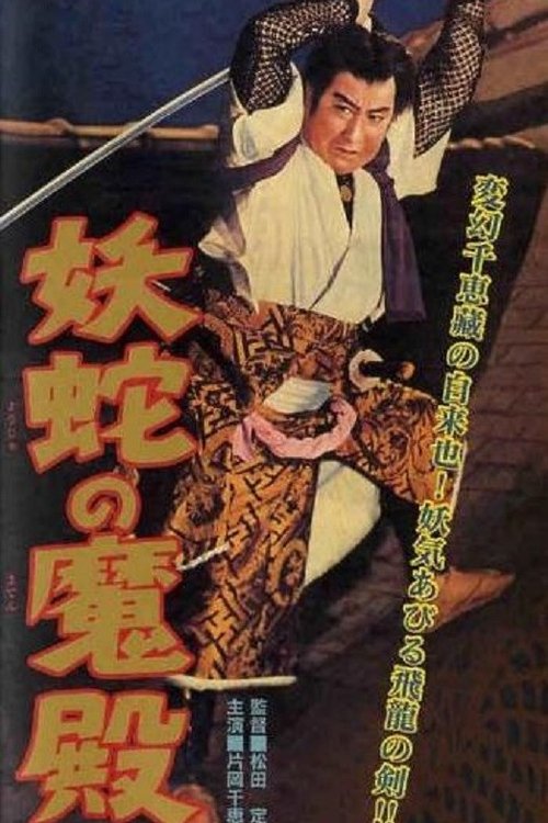 Ninja's Weapon movie poster