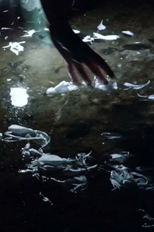 Brigid of Murroe movie poster