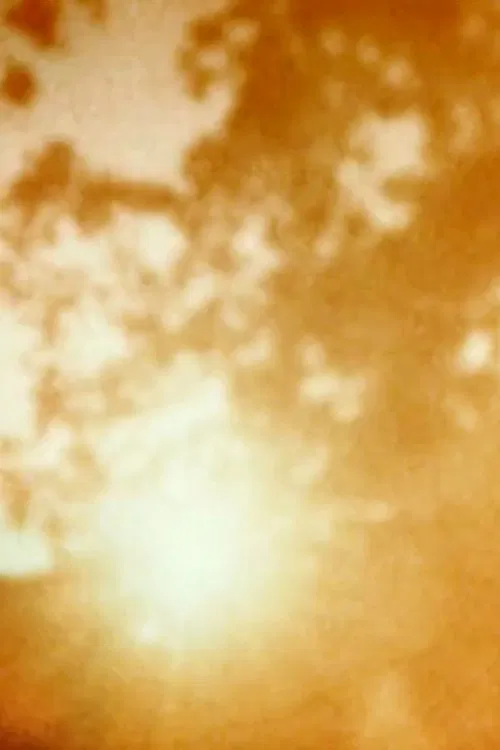 Poster do filme Dissolutions