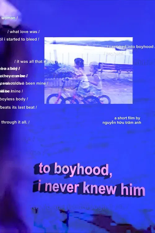 to boyhood, i never knew him movie poster