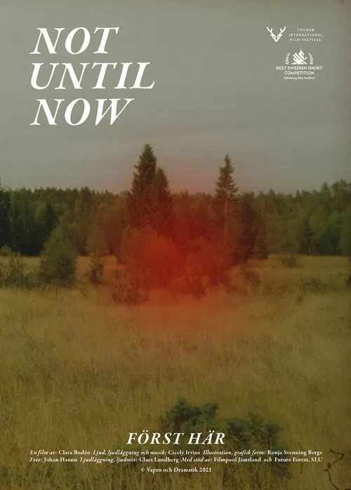 Not Until Now movie poster