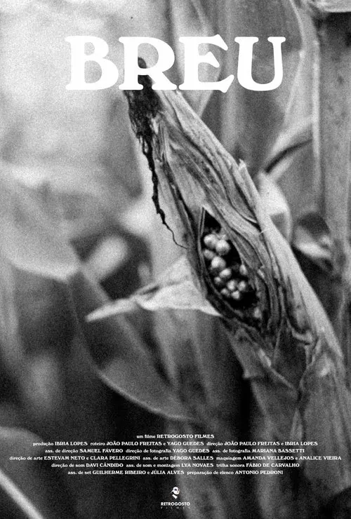 Poster do filme Breu