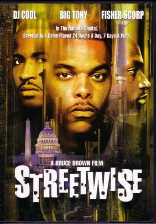 Streetwise movie poster