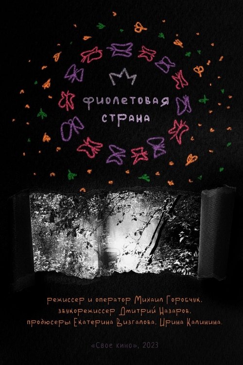 Poster do filme Violet Country