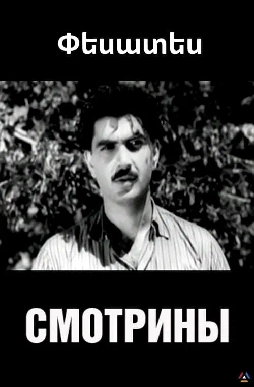 Visiting the Groom movie poster