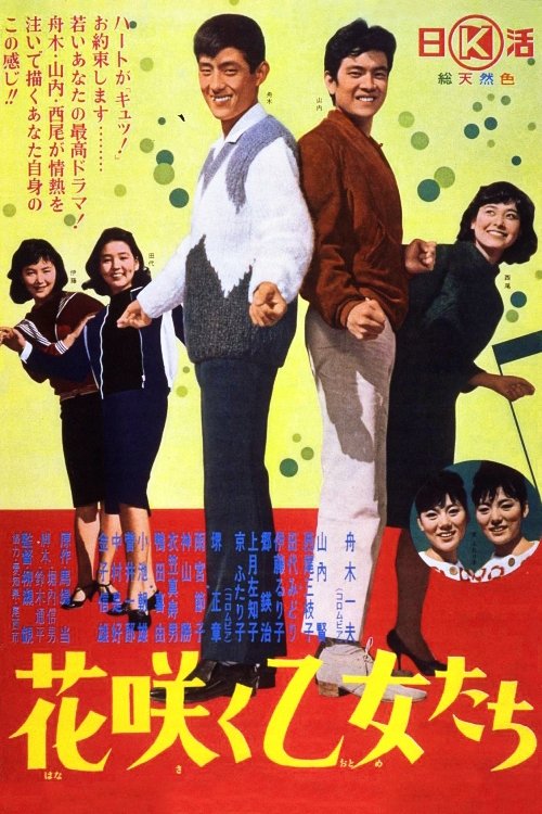 Poster do filme Flowering Maidens