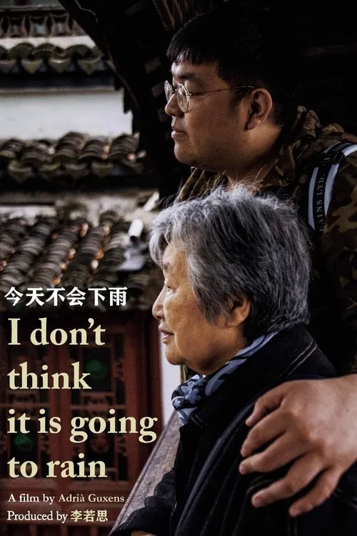 I Don't Think It Is Going to Rain movie poster