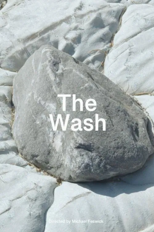 The Wash movie poster