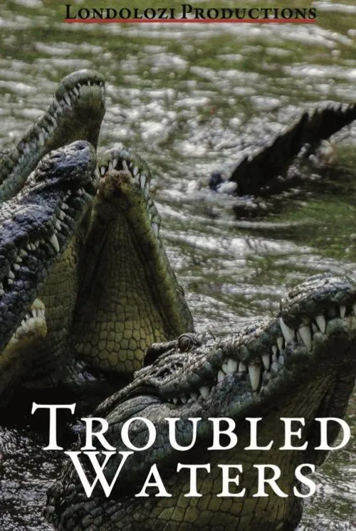 Troubled Waters movie poster