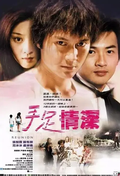 Reunion movie poster