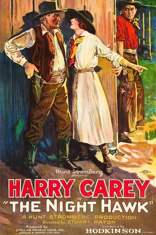 Poster do filme The Night Hawk