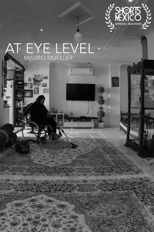 At Eye Level movie poster