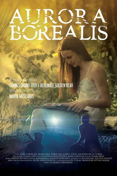 Aurora Borealis: Northern Light movie poster