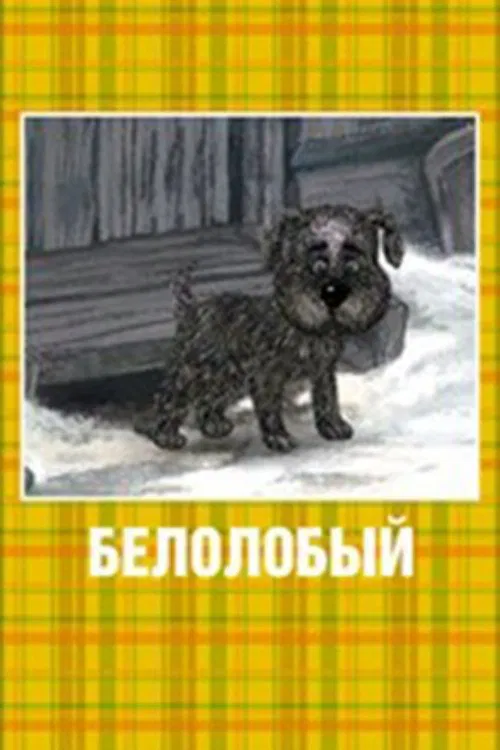 White-Browed movie poster