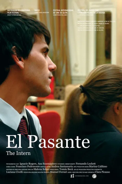 Poster do filme The Intern