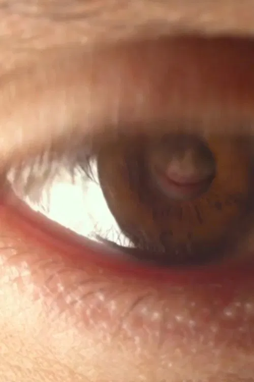 Venice 70 - Future Reloaded: Rama Burshtein movie poster