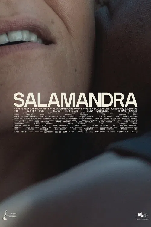 Poster do filme The Salamander