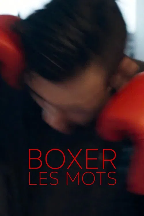 Boxer les mots movie poster