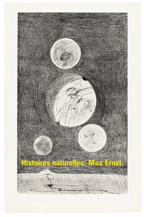 Histoires naturelles : Max Ernst movie poster
