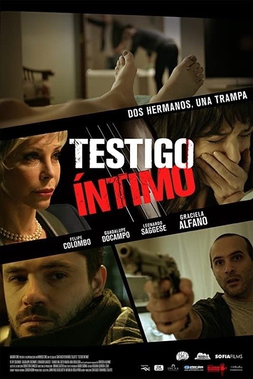 Intimate Witness movie poster